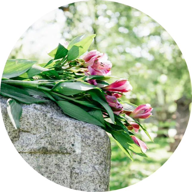 Flowers on Tomb Stone at Notre Dame Cemetery