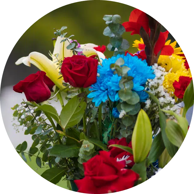 Beautiful flowers