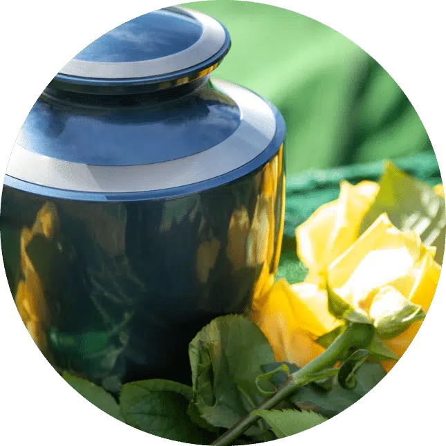 Beautiful yellow flowers and urn